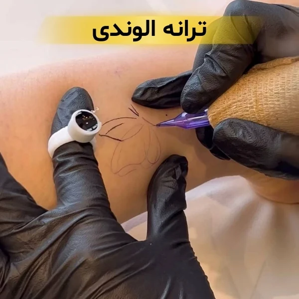بهترین تاتو کار زن در تهران