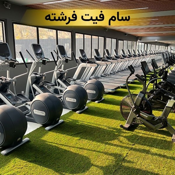 سام فیت فرشته