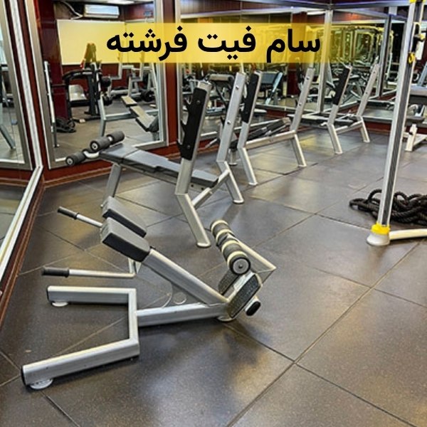 سام فیت فرشته